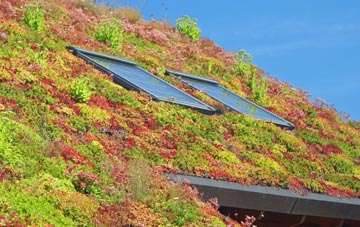 Longden Common living roof systems